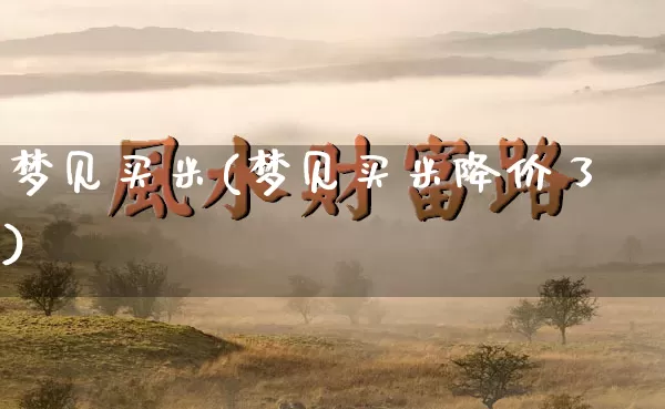 梦见买米(梦见买米降价了)_https://www.dao-sheng-yuan.com_道源国学_第1张