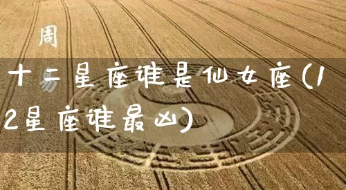 十二星座谁是仙女座(12星座谁最凶)_https://www.dao-sheng-yuan.com_生肖属相_第1张