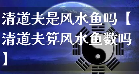 清道夫是风水鱼吗【清道夫算风水鱼数吗】_https://www.dao-sheng-yuan.com_生肖属相_第1张