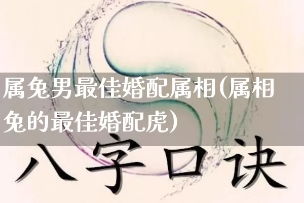 属兔男最佳婚配属相(属相兔的最佳婚配虎)_https://www.dao-sheng-yuan.com_道源国学_第1张
