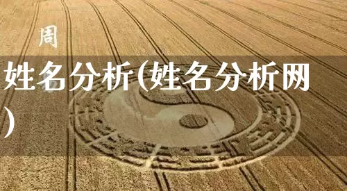 姓名分析(姓名分析网)_https://www.dao-sheng-yuan.com_风水_第1张