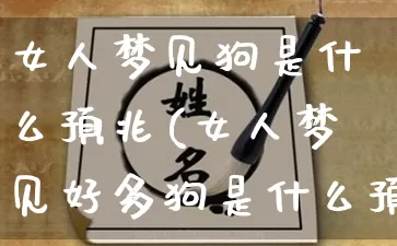 女人梦见狗是什么预兆(女人梦见好多狗是什么预兆)_https://www.dao-sheng-yuan.com_生肖属相_第1张