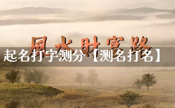 起名打字测分【测名打名】_https://www.dao-sheng-yuan.com_五行_第1张