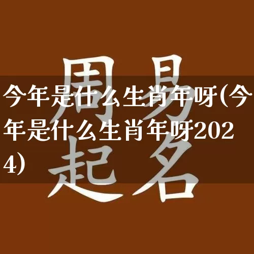 今年是什么生肖年呀(今年是什么生肖年呀2024)_https://www.dao-sheng-yuan.com_易经_第1张