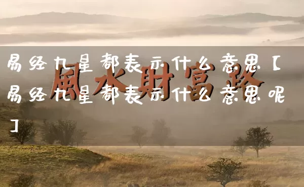 易经九星都表示什么意思【易经九星都表示什么意思呢】_https://www.dao-sheng-yuan.com_风水_第1张