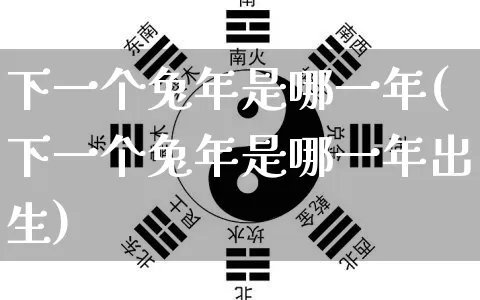 下一个兔年是哪一年(下一个兔年是哪一年出生)_https://www.dao-sheng-yuan.com_易经_第1张