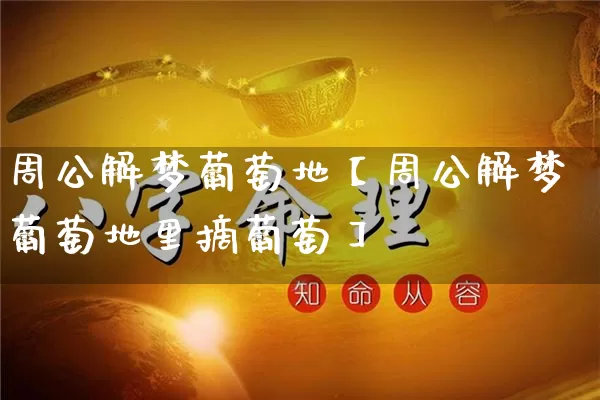 周公解梦葡萄地【周公解梦葡萄地里摘葡萄】_https://www.dao-sheng-yuan.com_八字_第1张