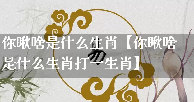 你瞅啥是什么生肖【你瞅啥是什么生肖打一生肖】_https://www.dao-sheng-yuan.com_八字_第1张