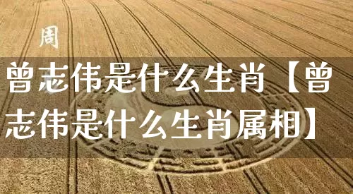 曾志伟是什么生肖【曾志伟是什么生肖属相】_https://www.dao-sheng-yuan.com_八字_第1张