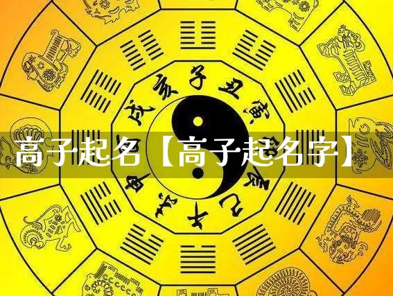 高子起名【高子起名字】_https://www.dao-sheng-yuan.com_易经_第1张