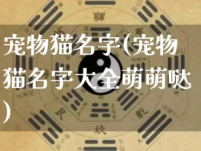 宠物猫名字(宠物猫名字大全萌萌哒)_https://www.dao-sheng-yuan.com_道源国学_第1张
