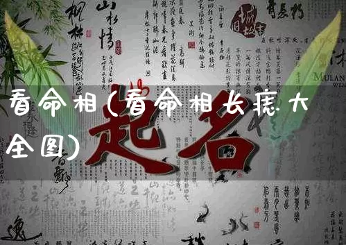 看命相(看命相长痣大全图)_https://www.dao-sheng-yuan.com_算命_第1张