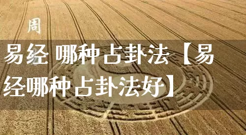 易经 哪种占卦法【易经哪种占卦法好】_https://www.dao-sheng-yuan.com_道源国学_第1张