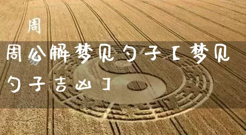 周公解梦见勺子【梦见勺子吉凶】_https://www.dao-sheng-yuan.com_生肖属相_第1张