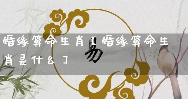 婚缘算命生肖【婚缘算命生肖是什么】_https://www.dao-sheng-yuan.com_周公解梦_第1张