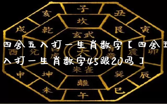 四舍五入打一生肖数字【四舍五入打一生肖数字45跟20吗】_https://www.dao-sheng-yuan.com_周公解梦_第1张