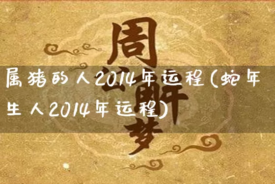 属猪的人2014年运程(蛇年生人2014年运程)_https://www.dao-sheng-yuan.com_算命_第1张